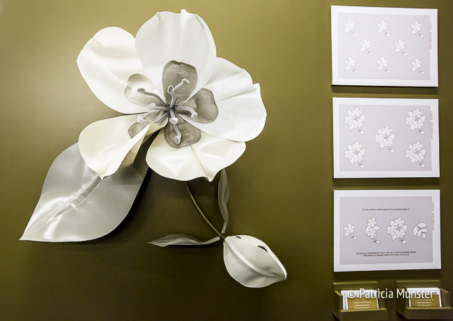 Object Rotterdam 2017 - Linda Nieuwstad