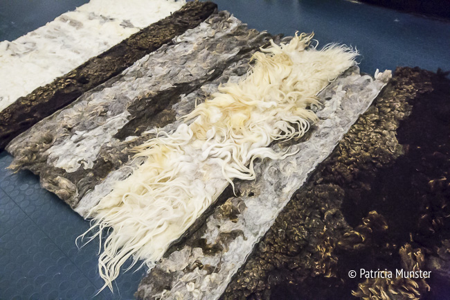 Object Rotterdam 2017 - Beatrice Waanders