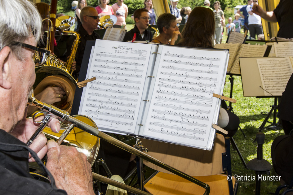 Harpe Davids - Zoetermeerse muziekvereniging