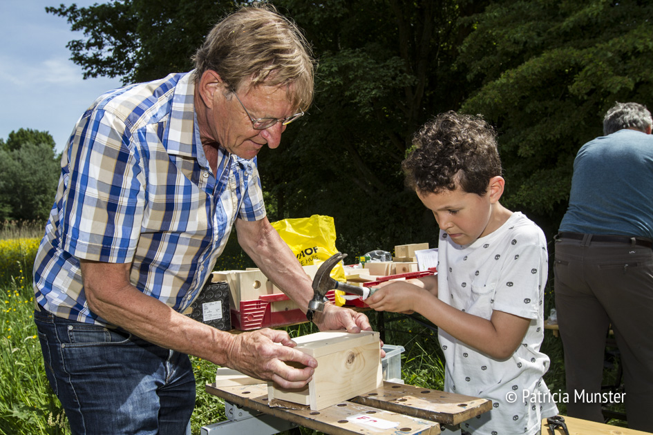 Vogelnestkastje maken op WesterparkdagVogelnestkastje maken op Westerparkdag