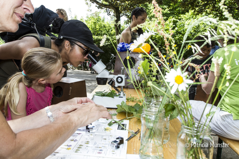 Even onder de microscoop bekijken!