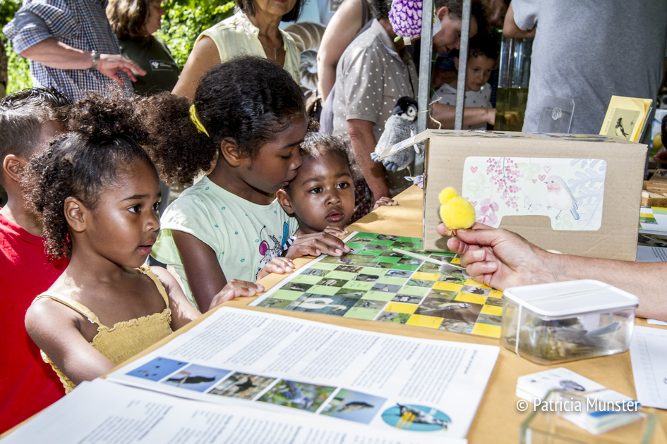 Verschillende soorten vogels bekijken en dit is een kuiken!