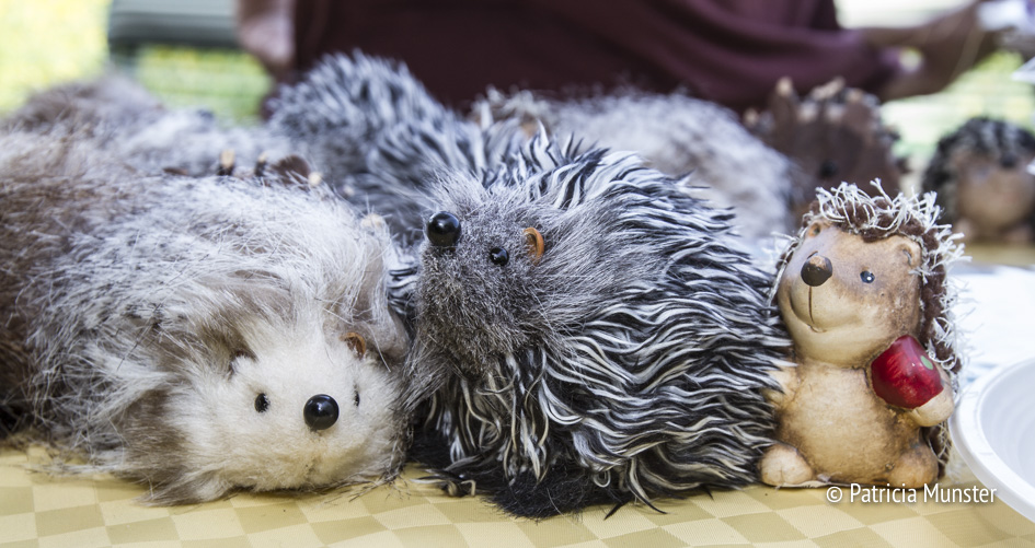 Egelopvang Zoetermeer