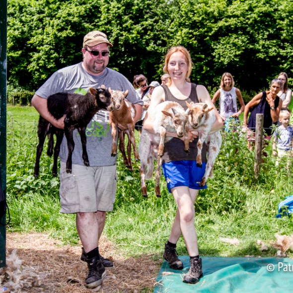 De lammetjes worden nog niet geschoren!