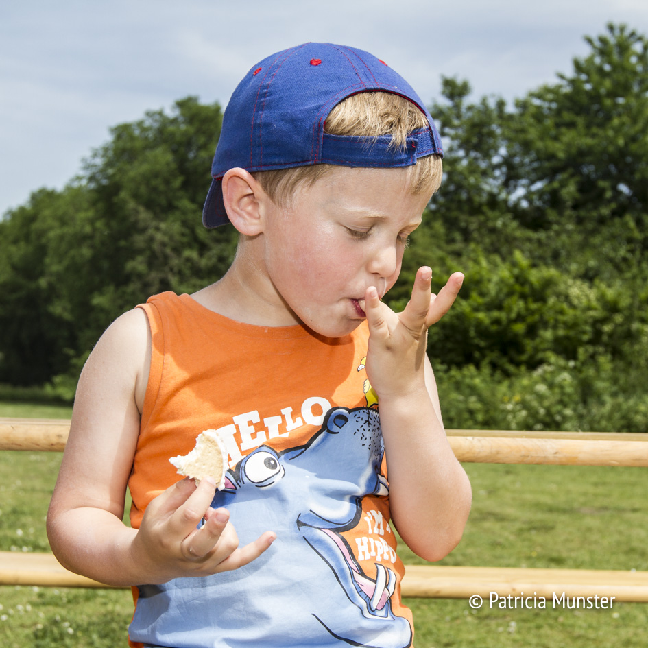 Wat zijn marshmallows lekker!